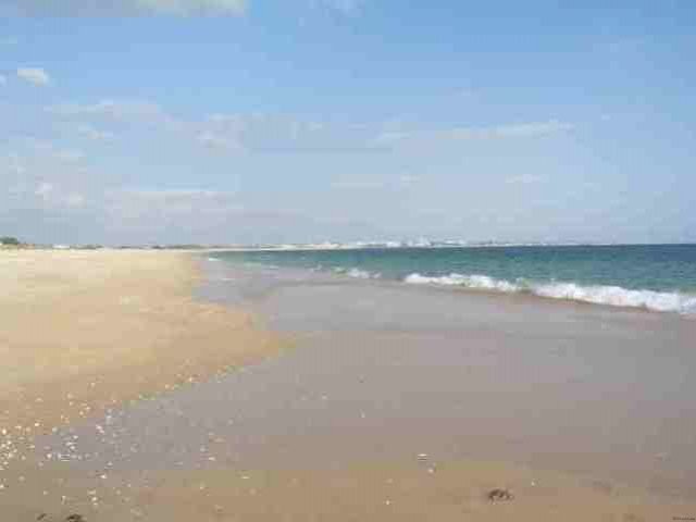 CENTRALLY LOCATED 1 BEDROOM APARTMENT - 2