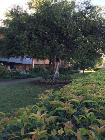 St Andrew's - Independent Living -.. - 2