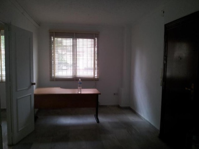 Apartment - AVENIDA RICARDO SORIANO... - 2