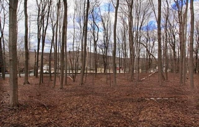 Land For Sale: 74 ROXITICUS RD - 2