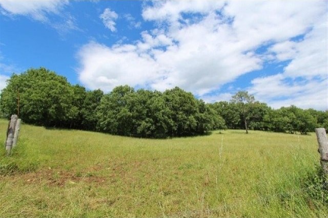 27077 - Vente - Terrain - Vergt