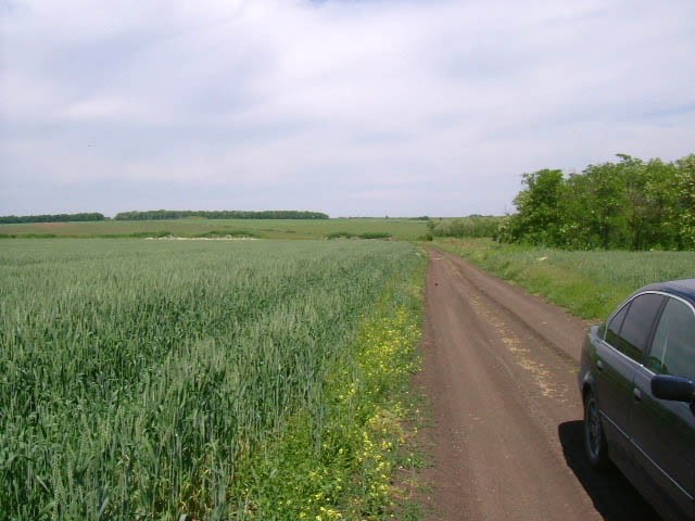 Land in Gorichane, Shabla - 2