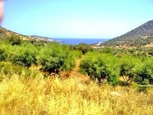 Crete Real Estate Rethymno - 2