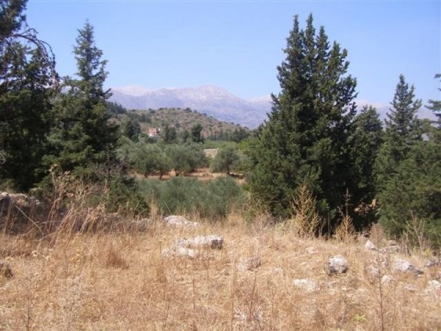 DCP-201 Secluded Country plot..