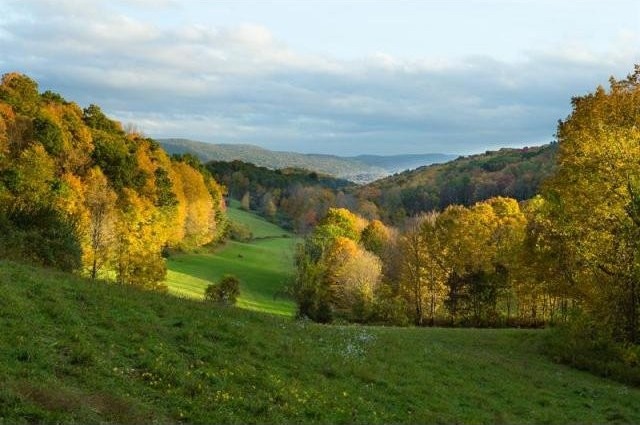 Land For Sale: Washington, New York