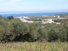 Crete Property