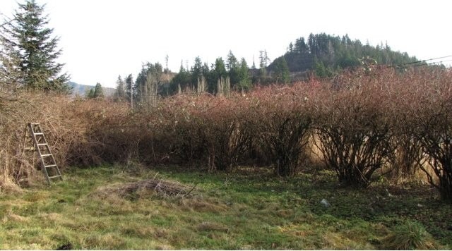 Land - Great location for your new.. - 2
