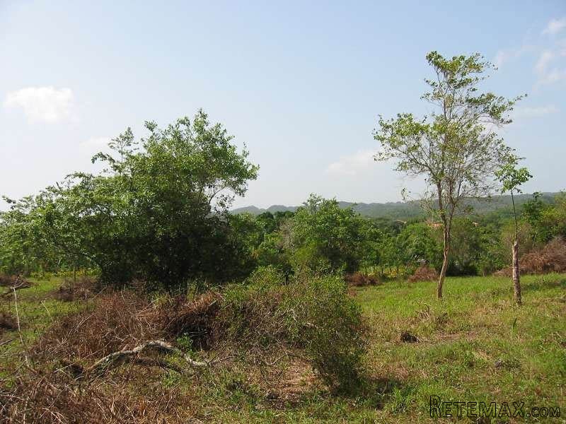 Beautiful Mountain Lots For Sale In.. - 2