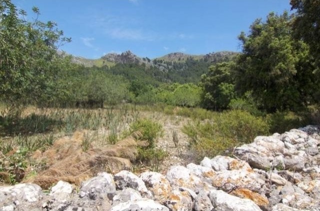 Plot Located In An Exclusive Area In..