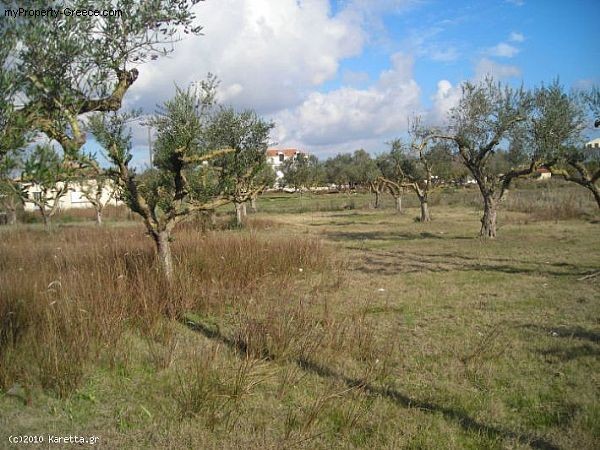 Land - Zakynthos - For Sale