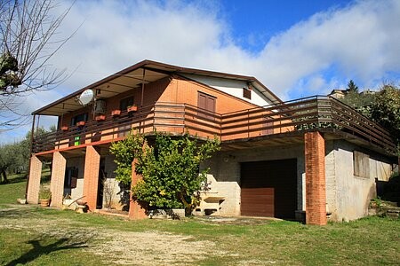 Beautiful villa with olive grove and..