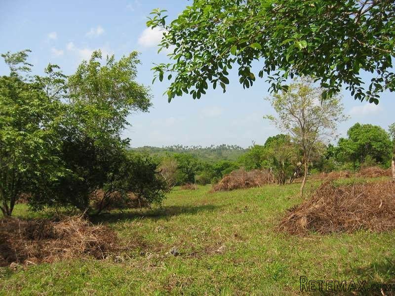 Beautiful Mountain Lots For Sale In..