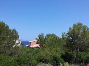 Colonia de San Pedro, plots near the.. - 2