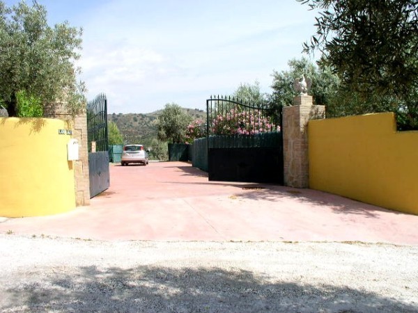 Country Finca - 2