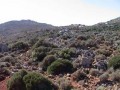 Investment Sea Front Plot In Crete For.. - 2