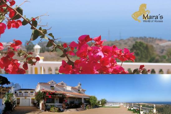 Villa with breathtaking sea view..