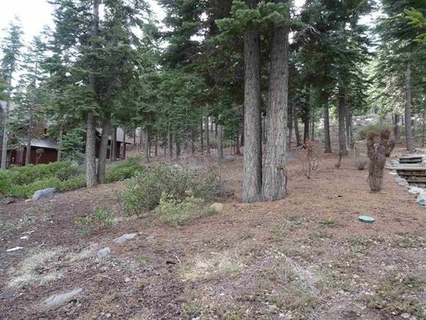 Land For Sale: Truckee, California - 2