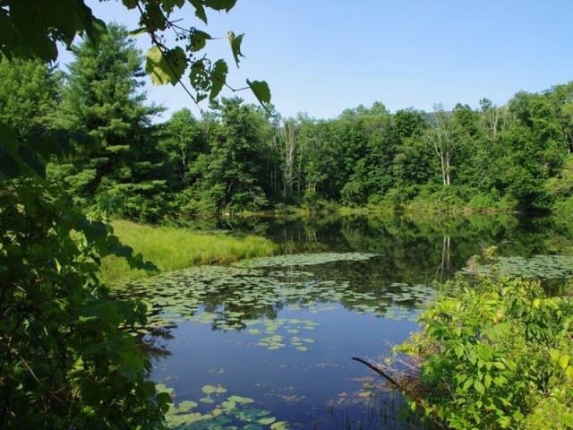 Grassland Farm - 2