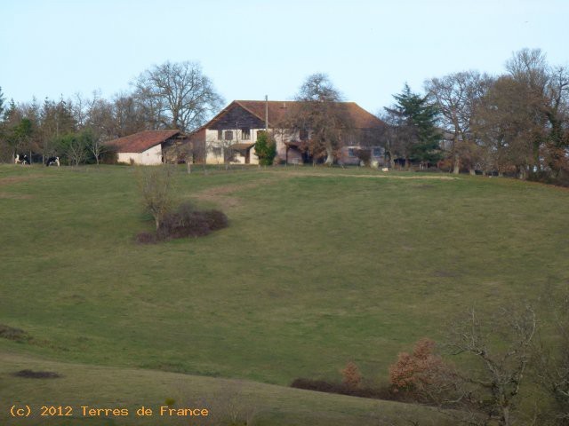 *country Estate On Unique Location*.. - 2