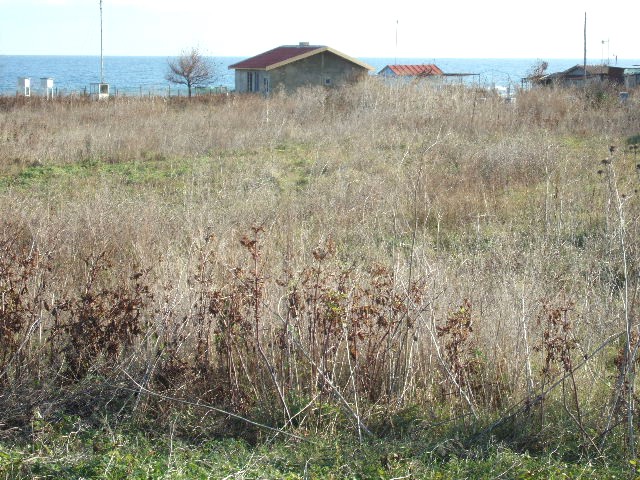 Land in Shabla - 2