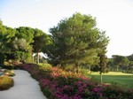 5 Bedrooms - Villa - Malaga - For Sale - 2