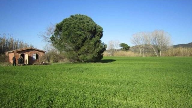 RUSTIC LAND IN TORRENT