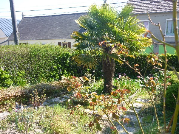 Lovley Frecnh House, Nice Garden - 2