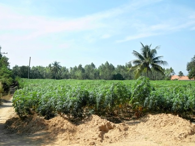 Plot of land near Polo Club, Horseshoe.. - 2
