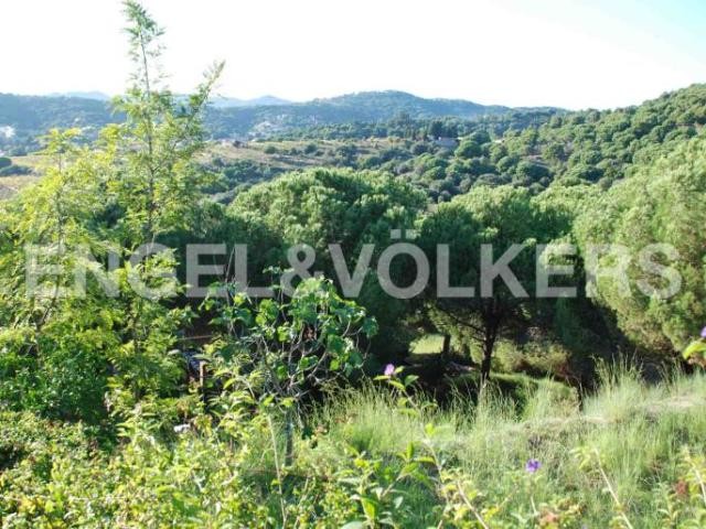 The best land with the best views. Teia. - 2