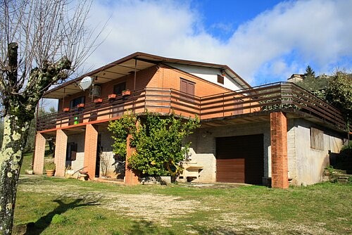 Beautiful villa with olive grove and.. - 2
