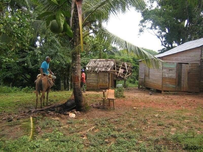 Mountain Farm In Rio San Juan
