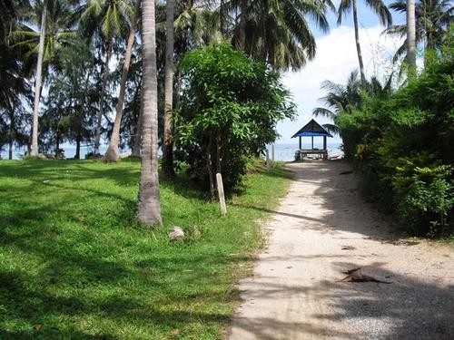 Land For Sale Koh Samui Surat Thani..