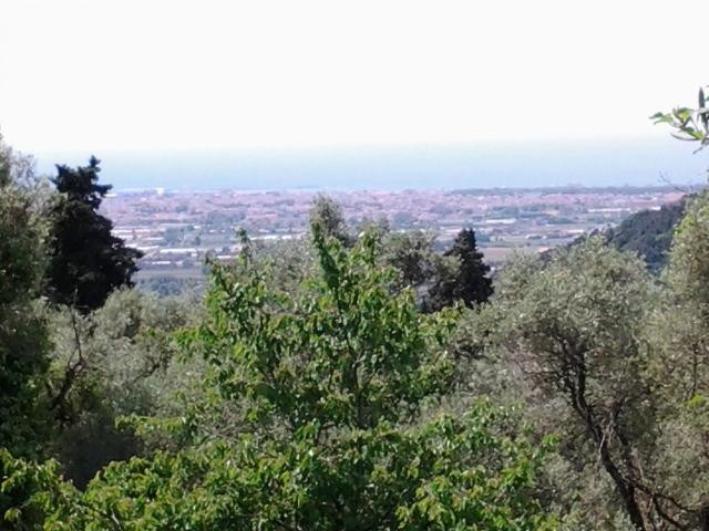 Villa for sale in Massarosa (Italy) - 2