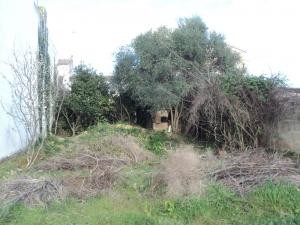 Artà, plot, 200m2 with project for..