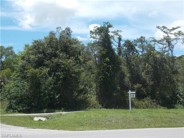 Land For Sale: Naples, Florida - 2
