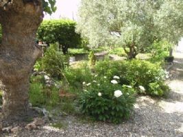 House in a Village on the Canal Du Midi - 2