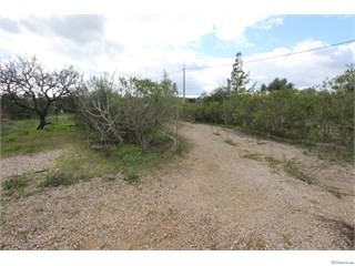 Plot - Silves - Algarve - for sale
