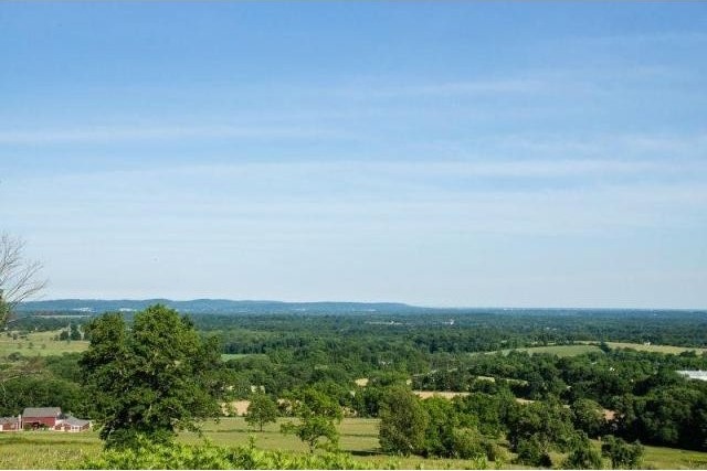 Land For Sale: 115 Old Turnpike Rd - 2