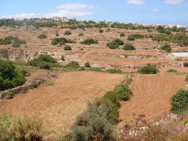 Farmland in San Gwann Valley