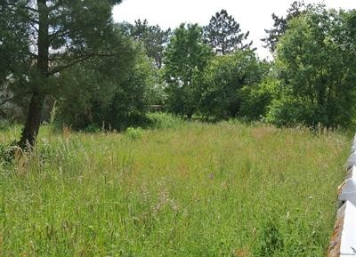 Site