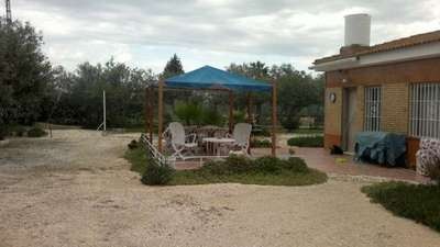 Finca Farm - The house is located.. - 2