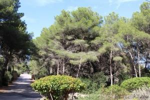 Costa Canyamel, plot near the beach and.. - 2