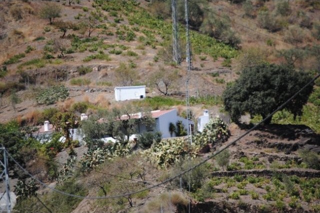Country Houses for Sale in Sayalonga..