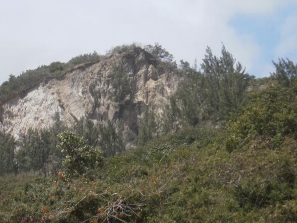 Property For Sale: Cattlewash, Atlantic.. - 2