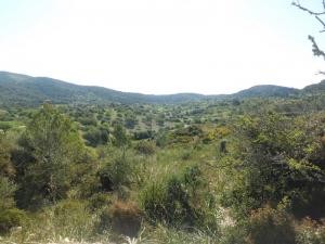 Son Macià, Manacor, finca plot for..