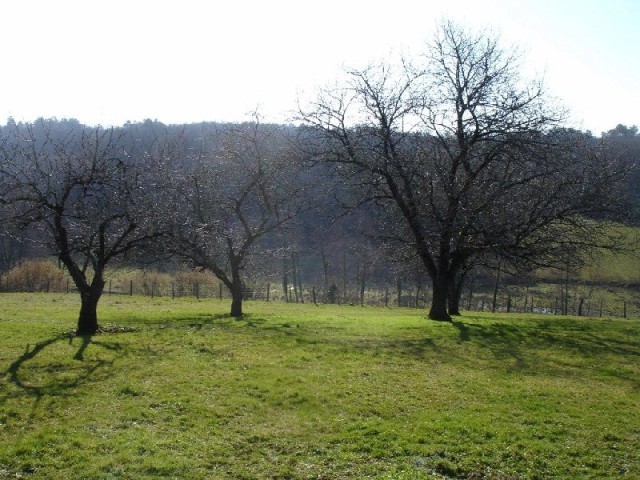 28103 - Vente - Terrain - Vergt - 2