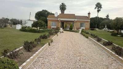 Finca Farm - The house is located..