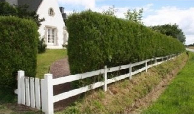 Detached Traditional Neo-Breton House - 2