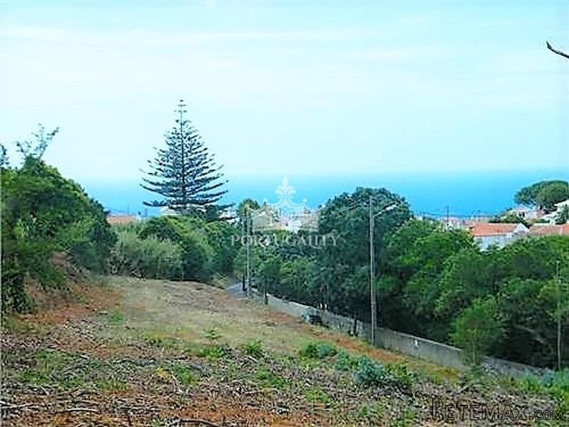 Land With A Project For The..
