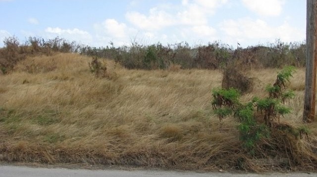 Property For Sale: Platinum Heights Lot.. - 2